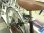 画像3: 〔中古自転車〕MIYATA　ミヤタ自転車　シティサイクル　ママチャリ　26ンチ　シングル　ローラーブレーキ　ステンレスカゴ　自転車安全基準適合　ブラウン (3)
