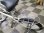画像4: 〔中古自転車〕良品計画（無印良品）　ミニベロ　小径車　20インチ　内装3段　オートライト　大型ステンレスカゴ　リアキャリア　ベージュ×マットブラック (4)