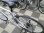 画像4: 〔中古自転車〕SPECIALIZED SEQUOIA スペシャライズド セコイア　ロードバイク　700×25C　3×8段変速　アルミフレーム　シルバー (4)