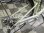 画像3: 〔中古自転車〕ブリヂストン　ママチャリ　26インチ　内装3段変速　アルミフレーム　オートライト　大型ステンレスカゴ　ライトグリーン (3)