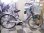 画像1: 〔中古自転車〕ミヤタ　電動アシスト自転車　26ンチ　3段変速　アルミフレーム　前輪ロック　BAA自転車安全基準適合　ブルー (1)