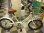 画像1: 〔中古自転車〕ブリヂストン　VEGAS（ベガス）　ミニベロ　小径車　20インチ　シングル　リモートレバーLEDライト　ステンレスカゴ　ローラーブレーキ　BAA自転車安全基準適合　状態良好　ベージュ (1)