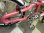 画像3: 〔中古自転車〕GIANT CLIP  ジャイアント クリップ　折りたたみ自転車　20インチ　外装8段変速　軽量アルミフレーム　ピンク (3)