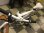 画像5: 〔中古自転車〕DOPPELGANGER（ドッペルギャンガー）　クロスバイク　700×28C　3×7段変速　アルミフレーム　ディスクブレーキ　ホワイト (5)