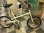 画像1: 〔中古自転車〕良品計画（無印良品）　ミニベロ　小径車　20インチ　シングル　大型ステンレスカゴ　タイヤ新品　ベージュ (1)