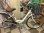 画像1: 〔中古自転車〕シティサイクル　ママチャリ　26インチ　シングル　軽量アルミフレーム　ローラーブレーキ　ホワイト (1)