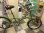 画像1: 〔中古自転車〕ミニベロ　小径車　20インチ　内装3段変速　ローラーブレーキ　モスグリーン (1)