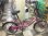 画像1: 〔中古自転車〕ミニベロ　小径車　20インチ　6段変速　ピンク (1)