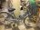 画像1: 〔中古自転車〕ブリヂストン　シティサイクル　ママチャリ　26インチ　内装3段変速　ライトブルー (1)
