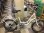 画像1: 〔中古自転車〕ROVER ローバー　ミニベロ　小径車　20インチ　外装6段変速　ホワイト (1)