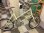 画像1: 〔中古自転車〕BILLION ビリオン　SG-Mx　ミニベロ　小径車　20×1 1/8インチ　2×9段変速　クイックレリーズ　クロモリ　実測約10kg　アイボリー (1)