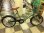 画像1: 〔中古自転車〕ミニベロ　小径車　20インチ　シングル　グリーン (1)