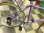 画像3: 〔中古自転車〕a.n.design works（エーエヌデザインワークス）　クロスバイク　700×25C　外装7段変速　Vブレーキ　パープル (3)