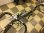 画像5: 〔中古自転車〕WACHSEN ヴァクセン DAGMAR ダグマー　ミニベロ　小径車　20インチ　外装８段変速　クロモリ　ブルホーンバー　キャリパーブレーキ　重量約11kg　メタリック系 (5)