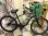 画像1: 〔中古自転車〕SCHWINN（シュウイン）ビーチクルーザー　26×2.125インチ　リアコースターブレーキ　ブラック (1)