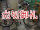 〔中古自転車〕tokyobike　トーキョーバイク　シティクルーザー　26×1.15　外装7段変速　ピンク