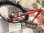 画像3: 〔中古自転車〕GIOS　PULMINO　ジオス　プルミーノ 　ミニベロ　小径車　20×1.00　7段変速　クロモリ　レッド (3)