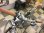 画像5: 〔中古自転車〕RALEIGH　ラレー　クロスバイク　700×38C　3×8段変速　アルミフレーム　グリーン (5)