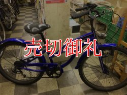 画像1: 〔中古自転車〕ファットバイク　26×1.95　外装6段変速　ブルー