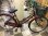 画像1: 〔中古自転車〕シティサイクル　ママチャリ　26インチ　シングル　ダークレッド (1)